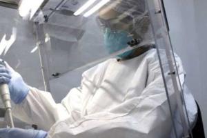 В Украине возможно появление вируса Зика