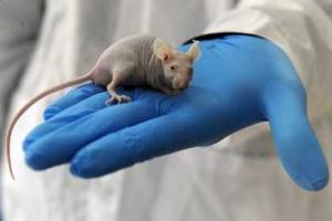 Жительница Ярославля обнаружила в пачке макарон жуткую находку