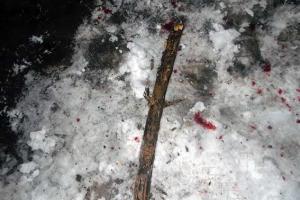 На Харьковщине задержан мужчина, который палкой забил до смерти пенсионерку 