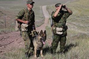 Пограничники России не пускают на свою территорию по документам "ДНР"