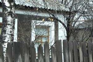 В Луганске действуют «воровские бригады»