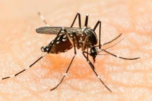 В Колумбии почти 9 тысяч беременных женщин заражены вирусом Зика