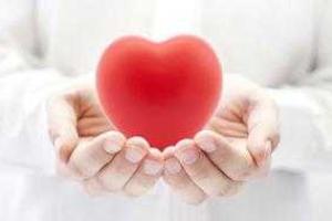 Ученые впервые вырастили ткани человеческого сердца