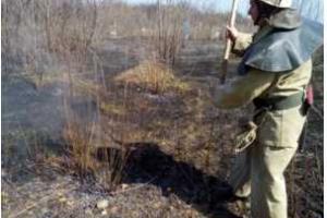 На Луганщине спасатели 13 раз выезжали на ликвидацию пожаров в экосистемах