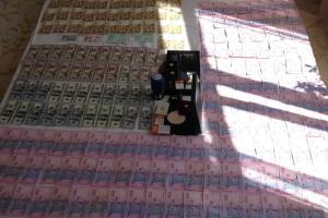 Во время задержания мошенница из фискальной службы пыталась покончить с собой