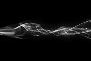 В США 2-летний ребенок застрелил свою мать, которая была за рулем авто 