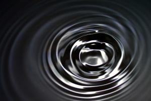 В Харьковской области обнаружили месторождение нефти