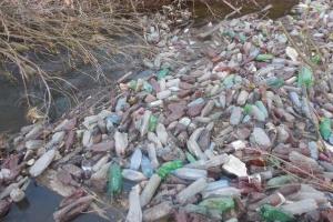 В сети показали, во что боевики «ЛНР» превратили реку в Луганске