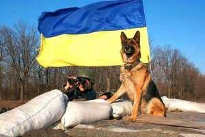 Уникальные кадры фронтовых будней: четвероногие побратимы бойцов АТО