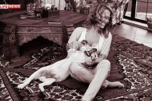 Врач-онколог рассказала, сколько проживет собака Жанны Фриске, больная раком