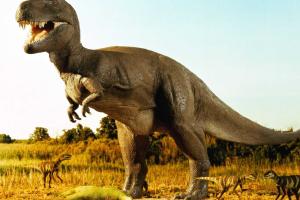 В Норвегии ученые определили точное количество динозавров, существовавших на Земле