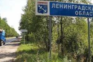 В России обнаружили хозяйственную сумку с расчлененным телом женщины