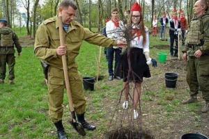 Сеть "взорвало" фото Захарченко, где он сажает дерево вверх корнями