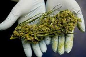 В Славянске на «горячем» задержали полицейского, который распространял наркотики