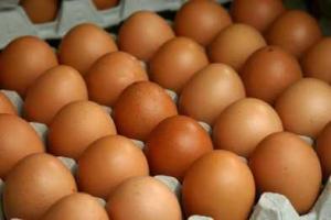 В Мариуполе резко подешевели куриные яйца 