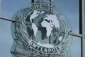 Интерпол объявил в розыск соратников Януковича