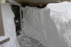 В Башкирии кот вызволил хозяев из снежного плена