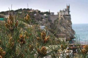 Российские отдыхающие признают, что Крым был лучше при Украине