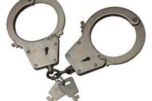 В Киеве задержаны «иностранные» квартирные воры