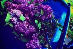 Ирина Безрукова получила букет от тайного поклонника