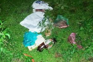 Киевские патрульные обнаружили в кустах младенца и пьяную мать