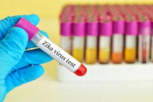 Родители с тремя детьми вернулись в Россию из Доминиканы с подозрением на вирус Зика