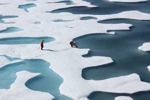 Ученые: Льды Арктики растают полностью впервые за 100 тысяч лет 