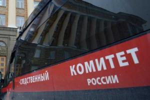 В Красноярске 76-летний пенсионер изнасиловал 4-летнюю девочку 