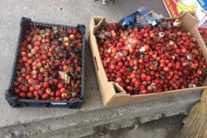 Никакого контроля: рынки Донецка переполнены гнилыми продуктами