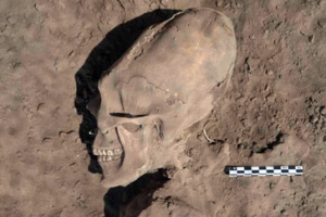 Ученые: Обнаружены останки окаменевшего пришельца на Красной планете