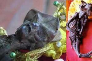 В буддийском храме хранятся 2 мумии фей: опубликованы фото