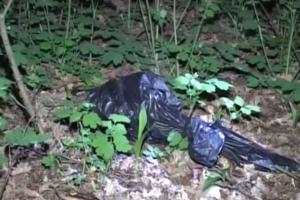 18-летний москвич убил и расчленил молодую учительницу в Киеве