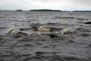 Судмедэксперты: Большинство детей на Сямозере погибли от тяжёлых травм