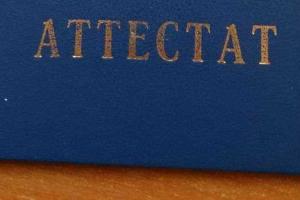 Пользователи Сети заметили ошибки в школьных аттестатах "ЛНР"