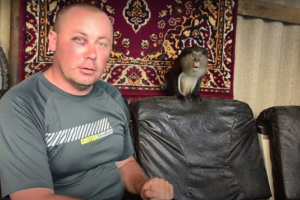 В Судаке на глазах у прохожих напали на фотографа с обезьянкой