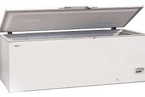 В США женщина купила морозильную камеру с трупом внутри