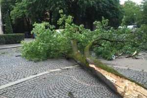 Последствия непогоды в Прикарпатье: одна женщина погибла, 4 пострадавших