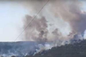 В Крыму произошел масштабный лесной пожар