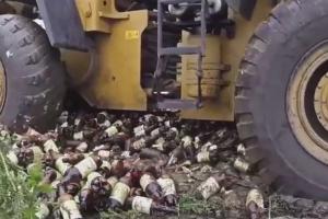 "С заботой о людях": В "ЛНР" по примеру российских "братьев" просроченное пиво раздавили бульдозером 