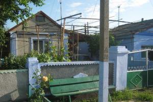 В Николаевской области прогремел взрыв: убита собака