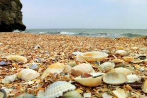 Туристы решили уйти: пляжи Крыма снова позабавили «толпами» людей