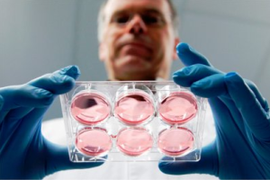 Первый ребенок от трех родителей появится на свет в следующем году