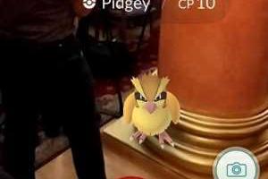 В Одесском горсовете во время заседания обнаружили покемона