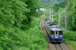 В России пьяной любительнице экстрима поездом оторвало голову