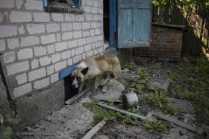 Бойцы подорвались на мине под Мариуполем: есть жертвы