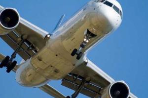 При посадке в аэропорту Москвы Boeing раздавил зайца 