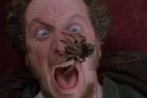 Актеру из «Один дома» удалось повторить незабываемый крик при виде паука