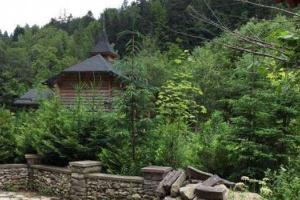 В сети появились фото заброшенной резиденции Ющенко