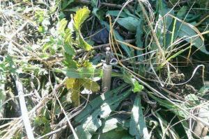 В Луганской области двое мирных жителей подорвались на растяжке