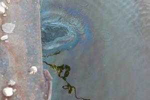 В Азовском море в районе Мариуполя произошел разлив нефтепродуктов